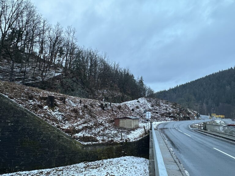 Kahlschlag im Vogelschutzgebiet „Zschopautal“ Ortsteil Scharfenstein